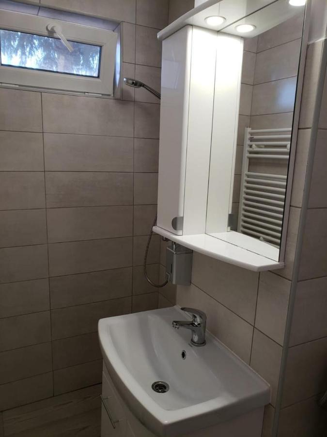 Apartmán Apartament Silvia Sibiu Exteriér fotografie